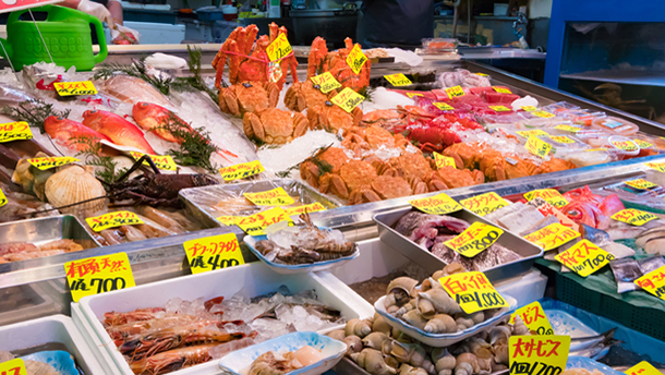 Tsukiji outer market shopping street