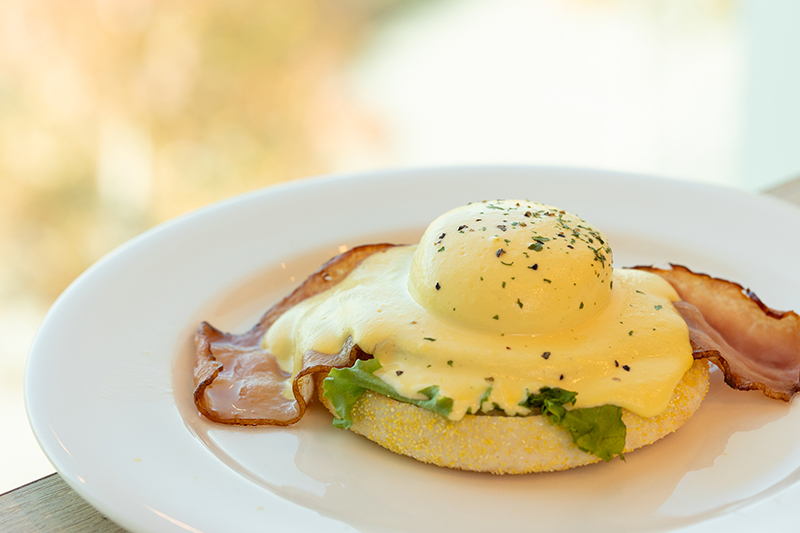 Eggs Benedict｜Creadisce