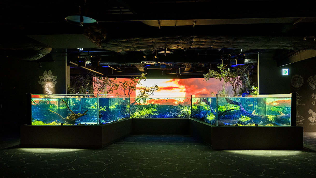 Kawasui Kawasaki Aquarium